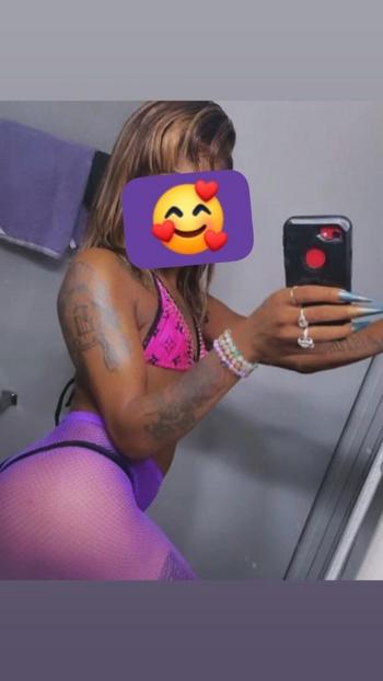 Your favorite girl, 26  female escort, Toledo