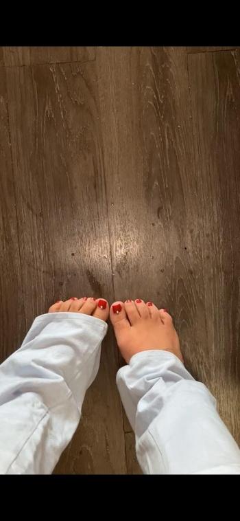 Nova, 22  female escort, Toledo
