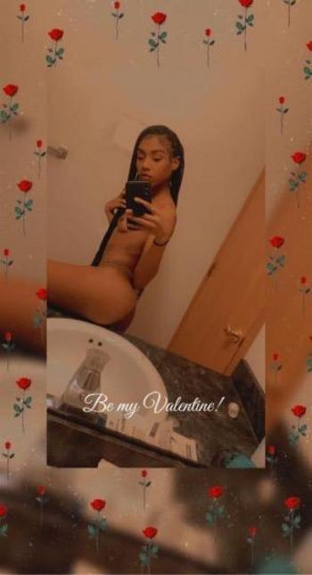 3139443751, female escort, Toledo