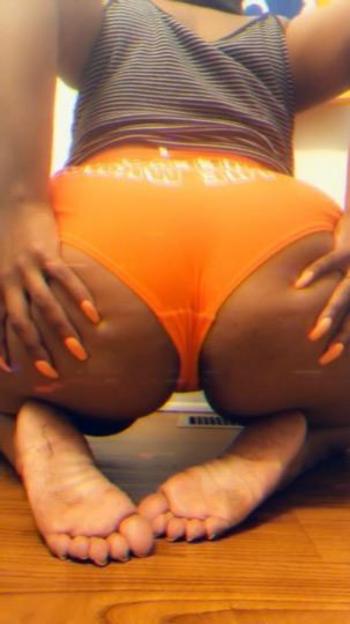 3154976190, female escort, Toledo